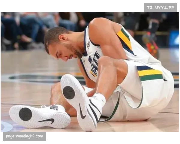 森林狼戈贝尔禁赛里德伤缺 内线轮换深度遭遇双重打击